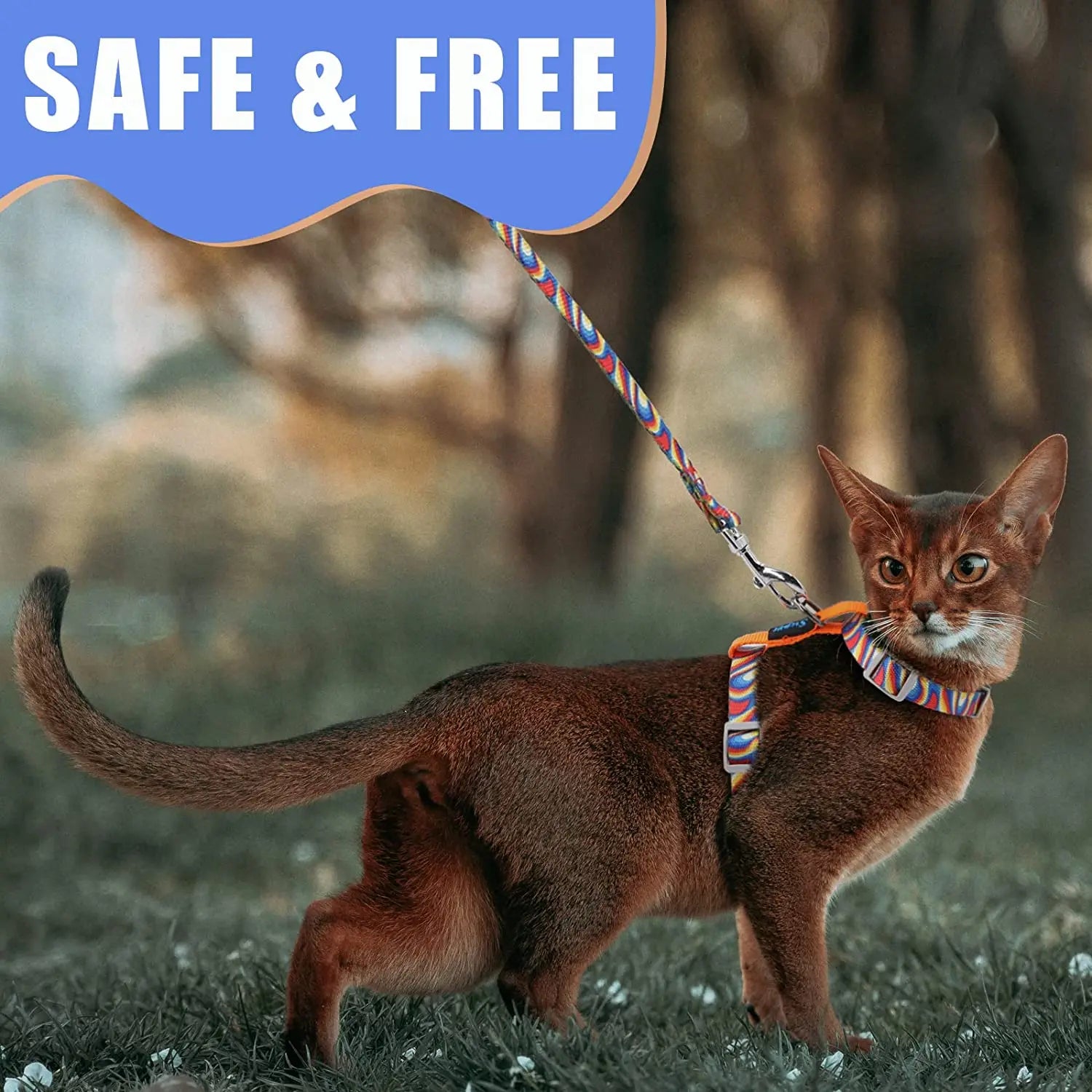 Premium Leather Cat Leash - 1.5M Walking & Training Lead for Cats & Small Dogs - Deribla Store