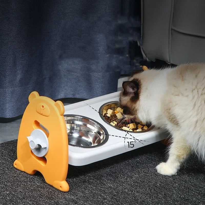 Elevated Tilted Pet Bowl