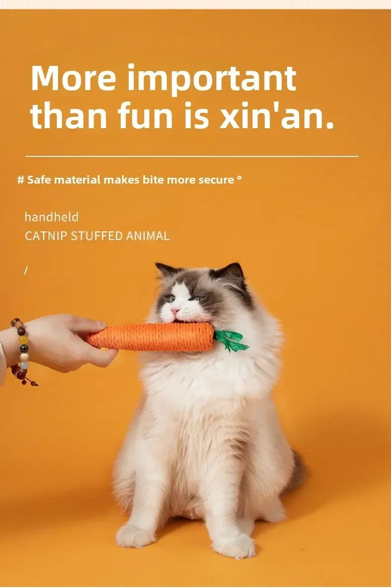 Fabric Carrot Cat Toy - Bite-Resistant Dental Cleaning Toy with Sound - Deribla Store