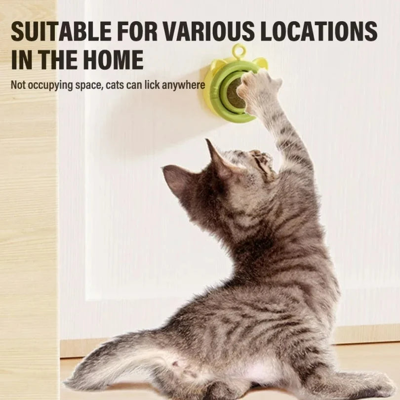 Natural Catnip Cat Wall Ball Toy - Edible Stick-On Treats for Teeth Cleaning & Digestion - Deribla Store