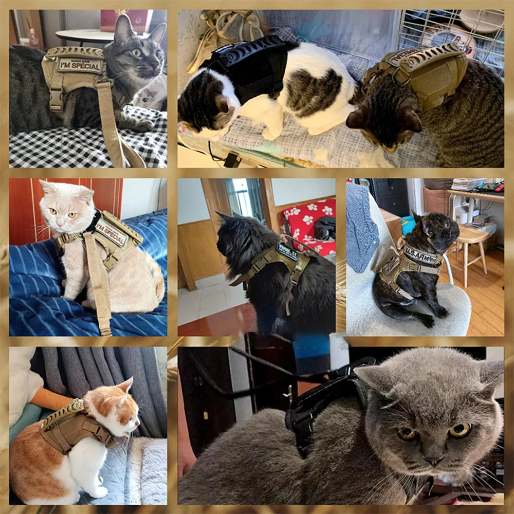 Tactical Cat Harness