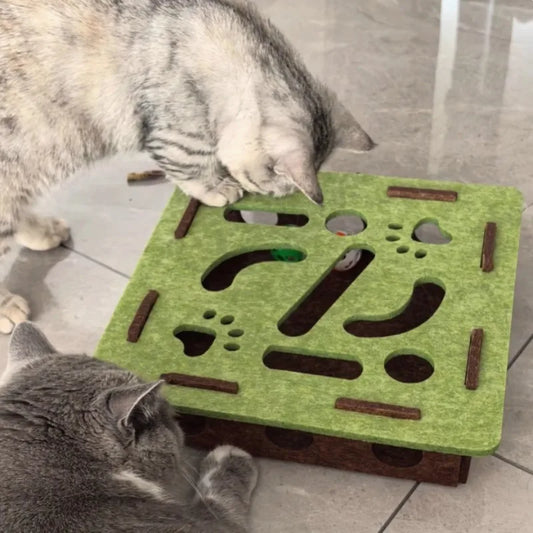 Interactive Cat Puzzle Toy - Mental Stimulation Maze Box for Indoor Cats - Deribla Store