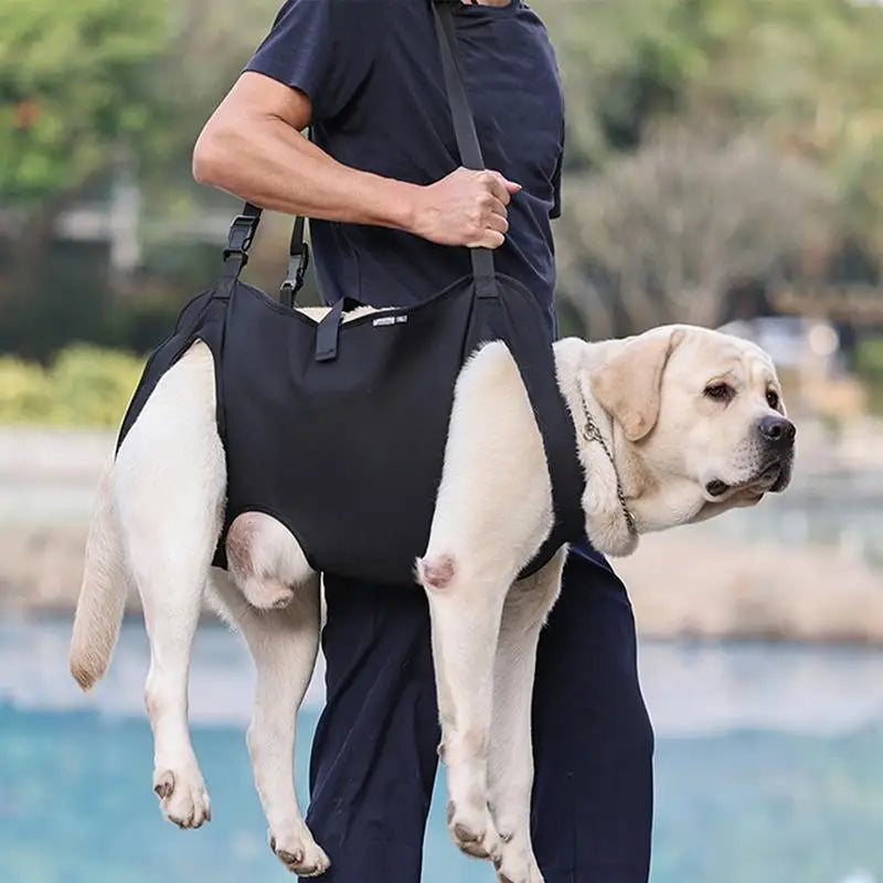 Dog Rehabilitation Sling