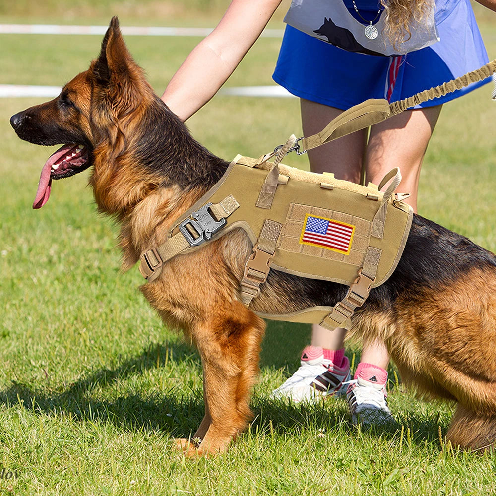 Tactical Dog Harness