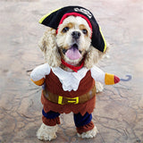 Pet Costume 