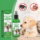 Flea & Tick Spray for Dogs & Cats - Natural Daily Insect Repellent 30ml - Deribla Store