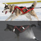 Dog Harness 