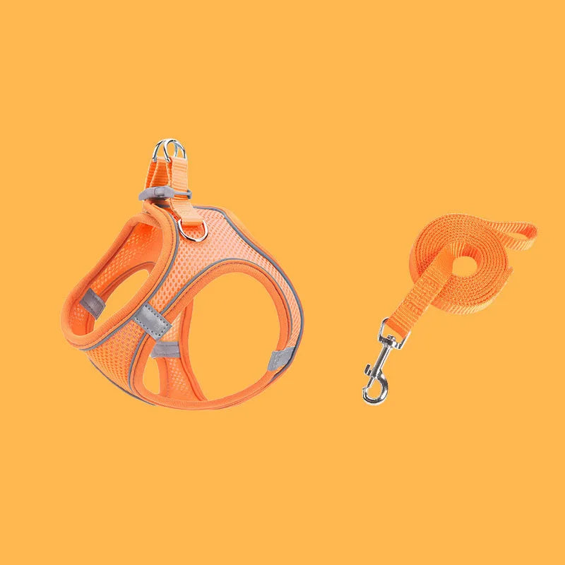 Escape-Proof Cat Harness - Adjustable Breathable Vest with Leash for Kittens - Deribla Store