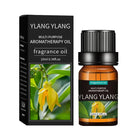 Pure Essential Oils - 10ml Aromatherapy & Massage Set