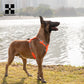 No-Pull Dog Harness - Reflective Nylon with Pocket & Adjustable Fit - Deribla Store