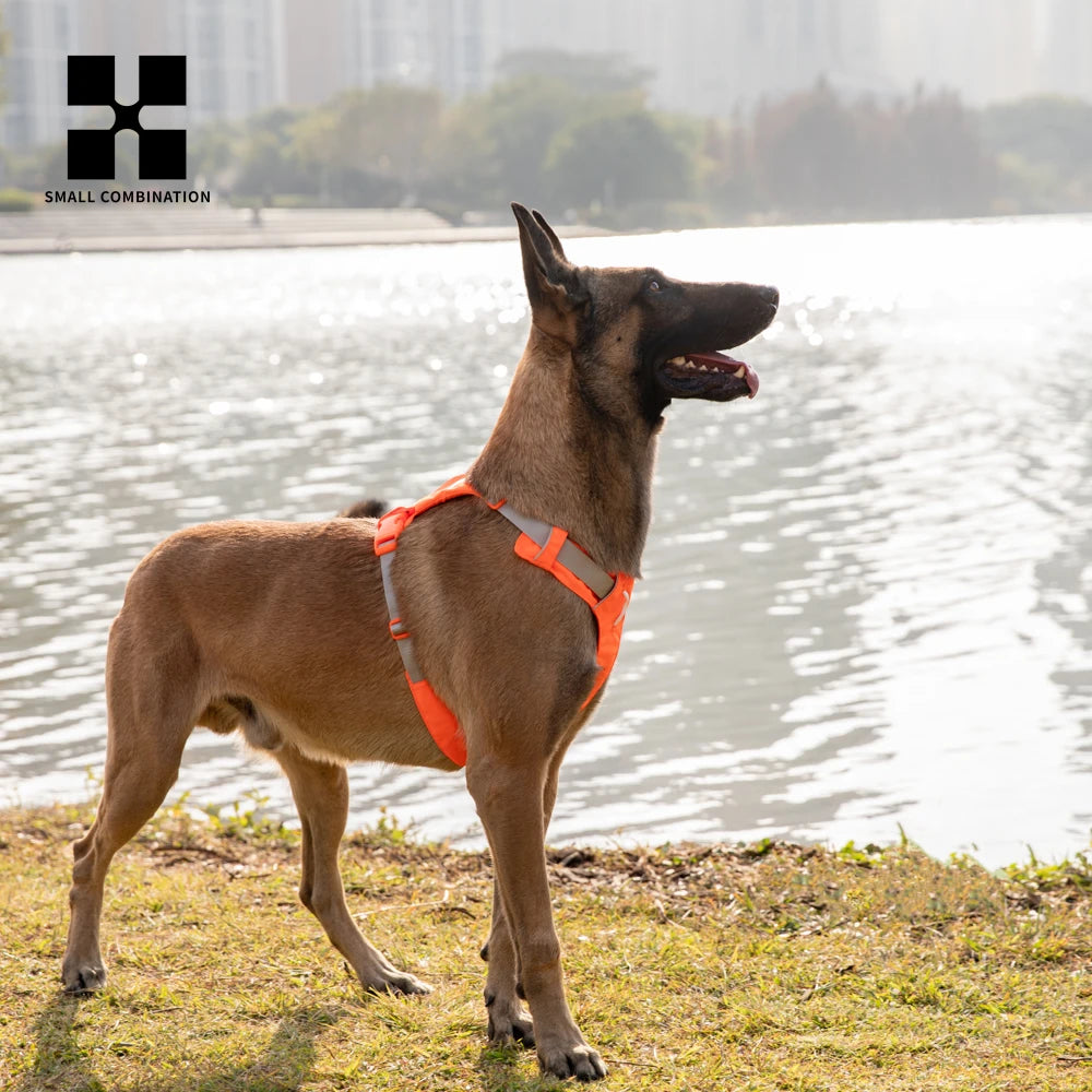 No-Pull Dog Harness - Reflective Nylon with Pocket & Adjustable Fit - Deribla Store