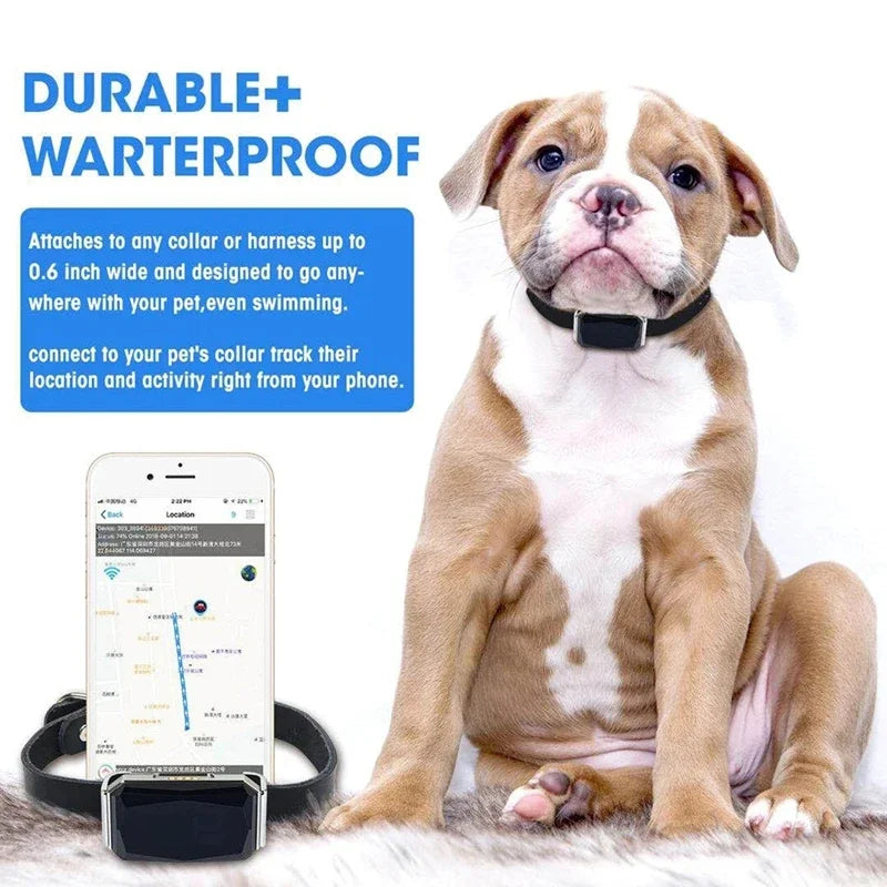 GPS Pet Collar Tracker - Waterproof Anti-Lost Locator with Long Standby & Footprint Tracking - Deribla Store