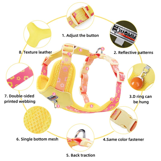 Dog Harness and Leash Set