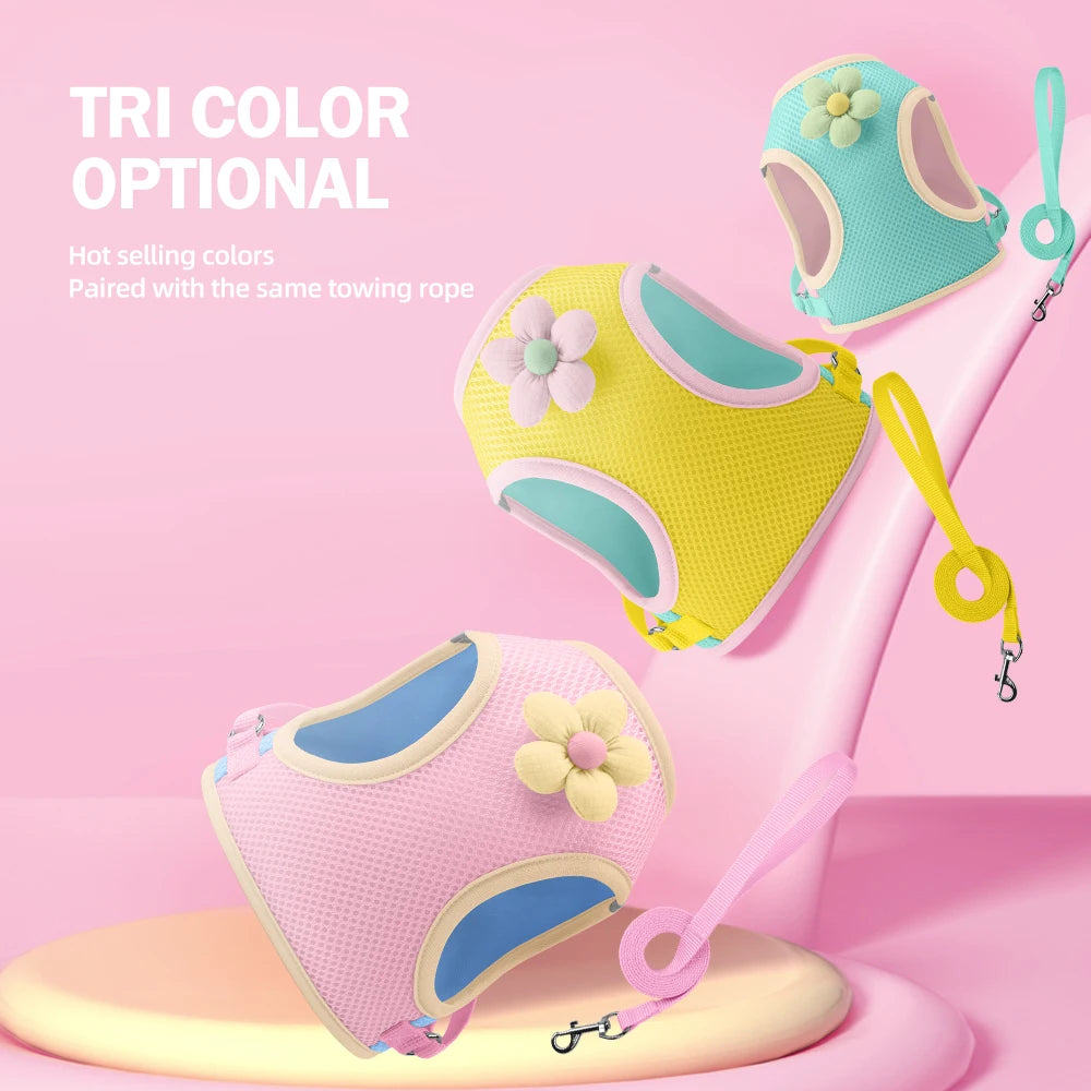 Mesh Dog Harness Leash Set