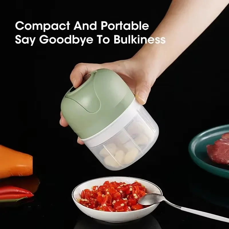 Electric Garlic Chopper 250ML USB
