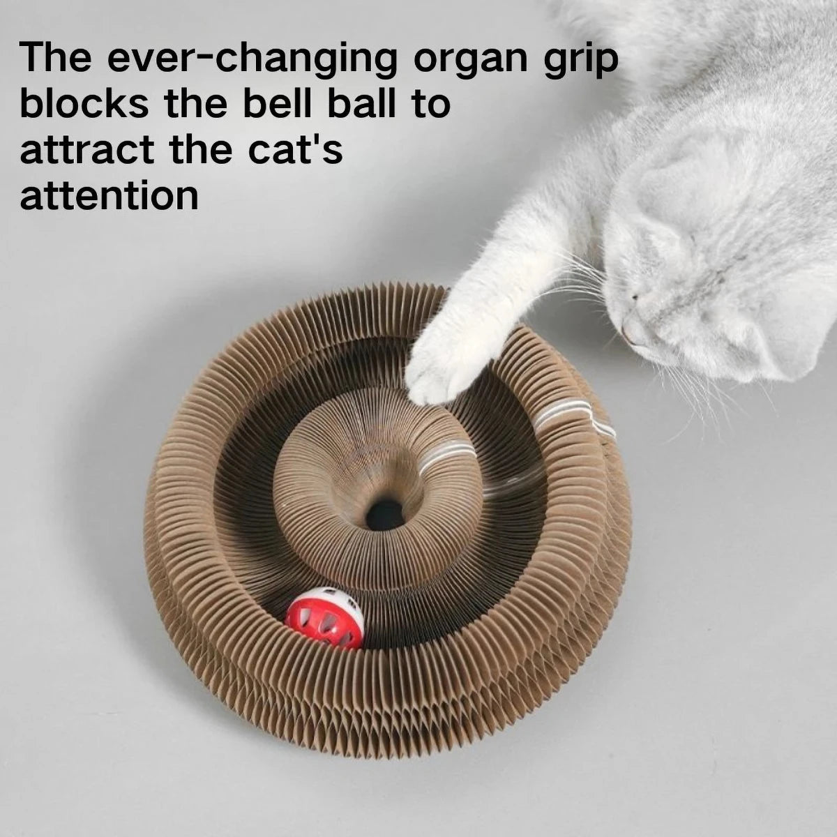 Magic Organ Cat Scratcher - Interactive Accordion Toy & Eco-Friendly Cardboard - Deribla Store