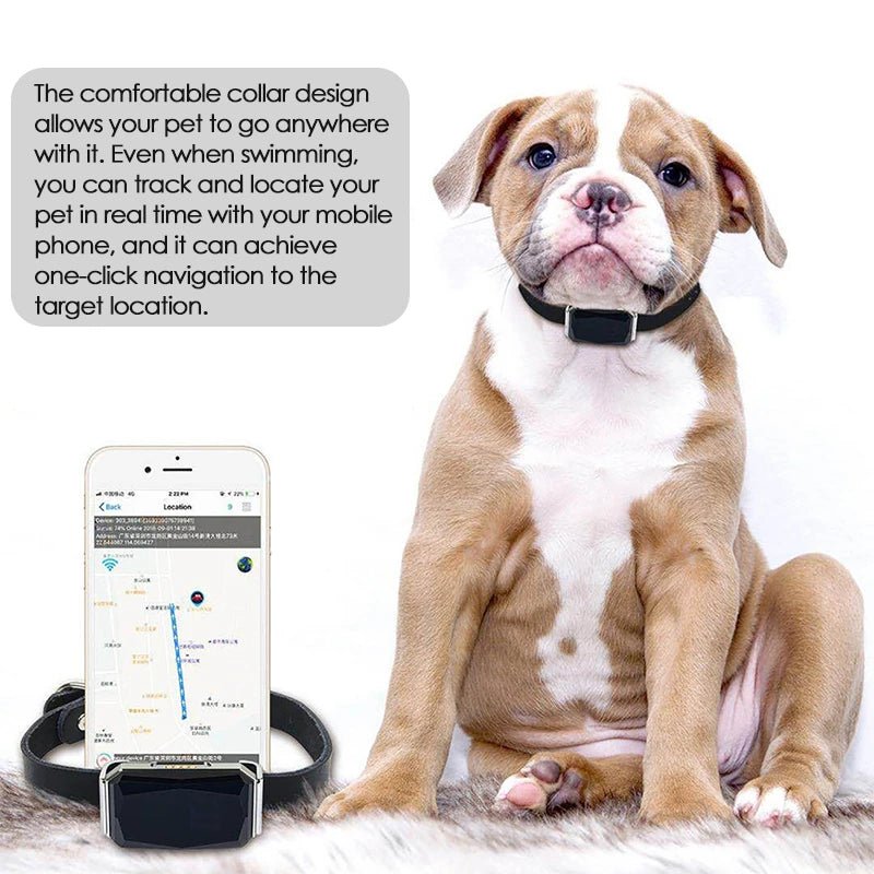 GPS Pet Tracker Collar