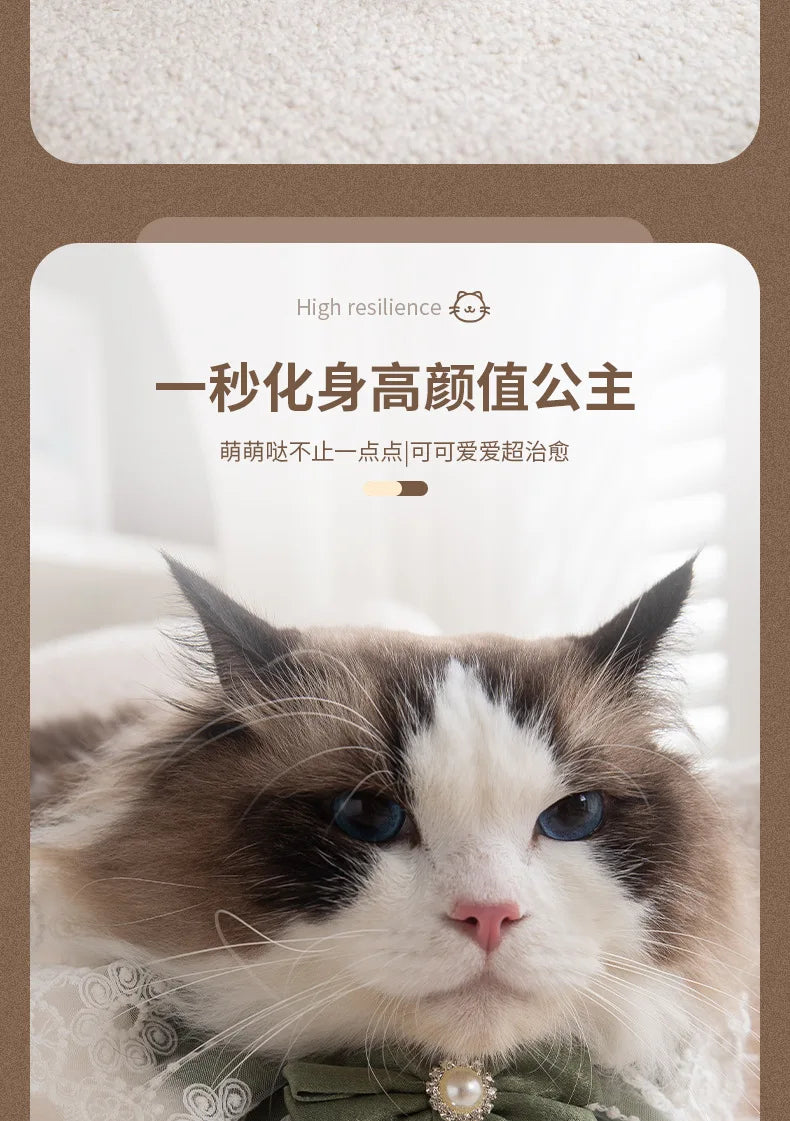 Pearl Lace Bowtie Collar