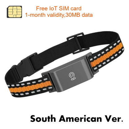 4G GPS Pet Tracker Collar