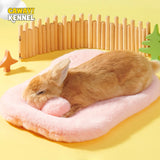 Cozy Winter Pet Bed - Warm House for Guinea Pig, Hamster, Rabbit & Small Animals - Deribla Store