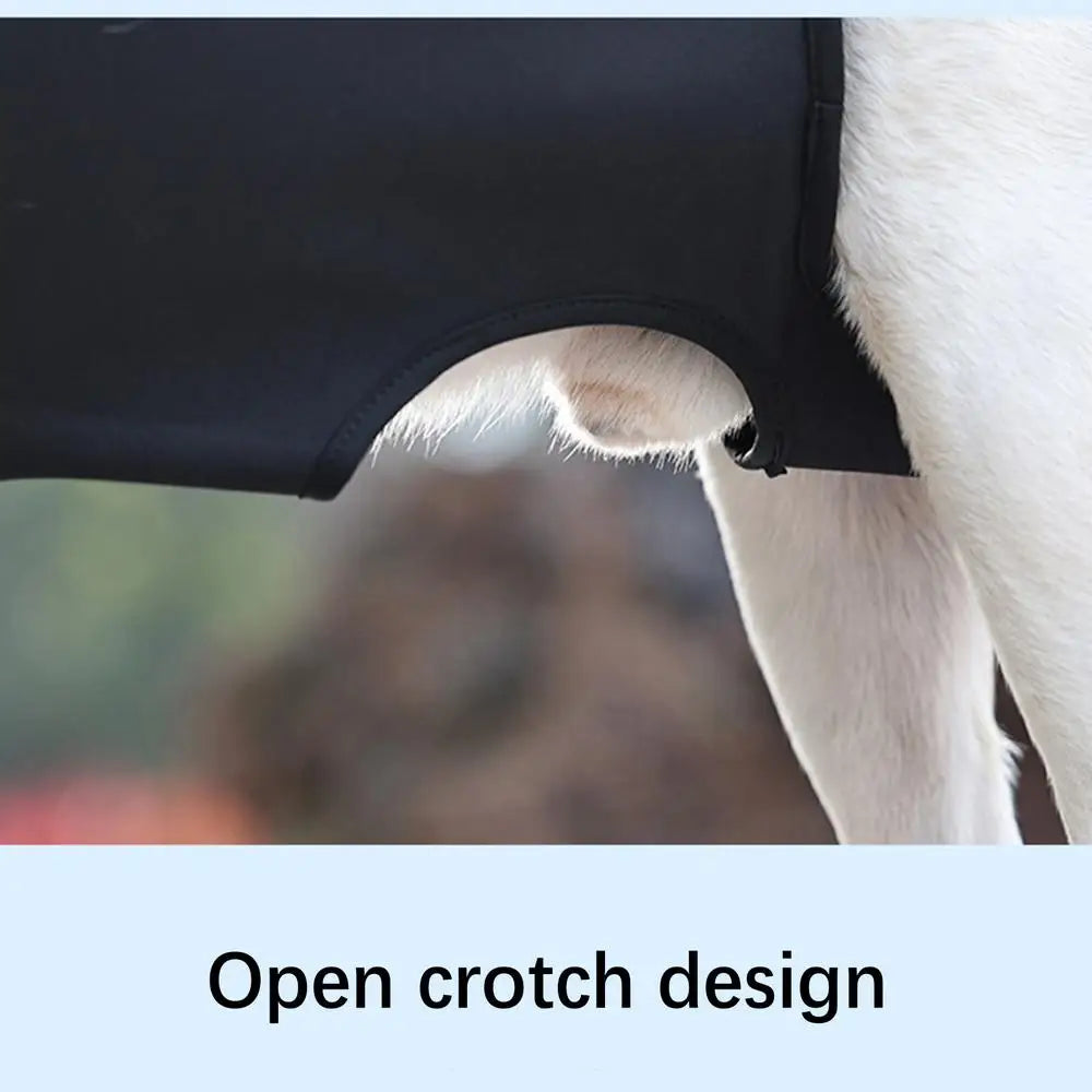 Dog Rehabilitation Sling