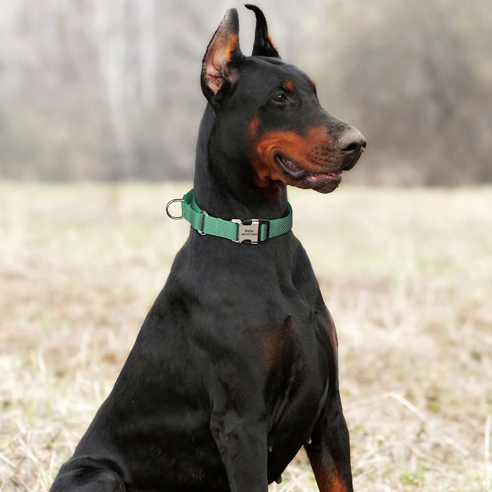 Custom Reflective Dog Collar - Personalized Nylon with Handle for All Sizes - Deribla Store