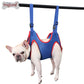 Pet Grooming Hammock - Helper Sling for Nail Trimming & Bathing Dogs & Cats - Deribla Store