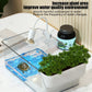 Turtle Tank - Amphibian Reptile Breeding Box with Basking Platform & Fence - Deribla Store