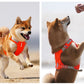 No-Pull Dog Harness - Reflective Nylon with Pocket & Adjustable Fit - Deribla Store