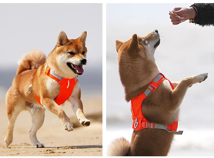 No-Pull Dog Harness - Reflective Nylon with Pocket & Adjustable Fit - Deribla Store