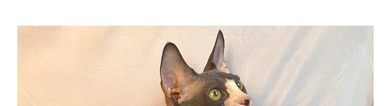 Cat Sweater - Soft Wool Winter Coat for Sphinx & Small Cats - Deribla Store