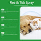Flea & Tick Spray for Dogs & Cats - Natural Daily Insect Repellent 30ml - Deribla Store