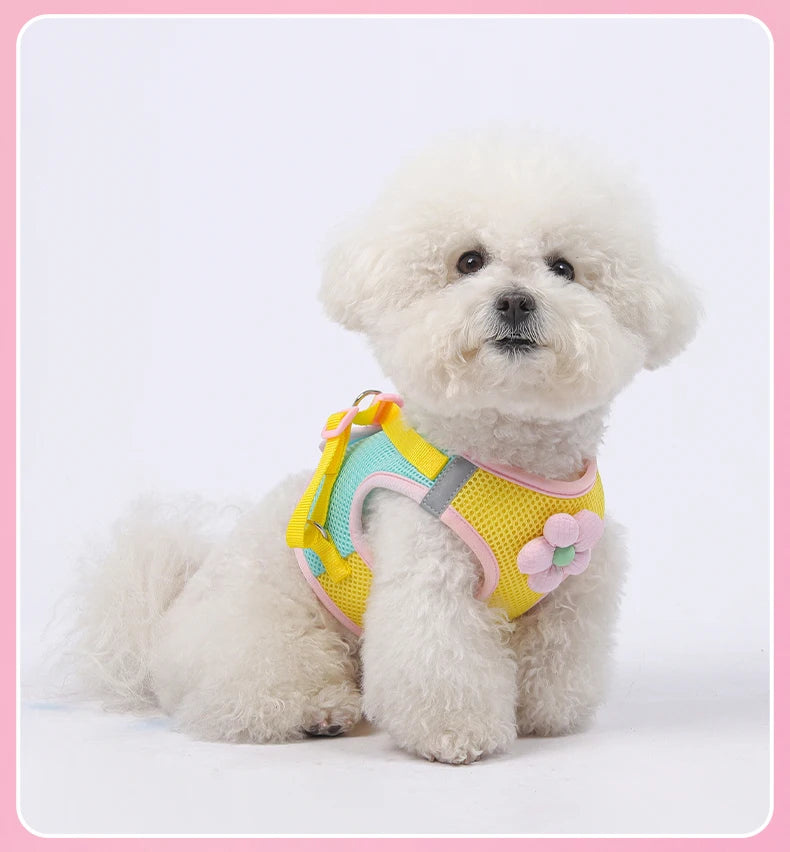 Mesh Dog Harness Leash Set