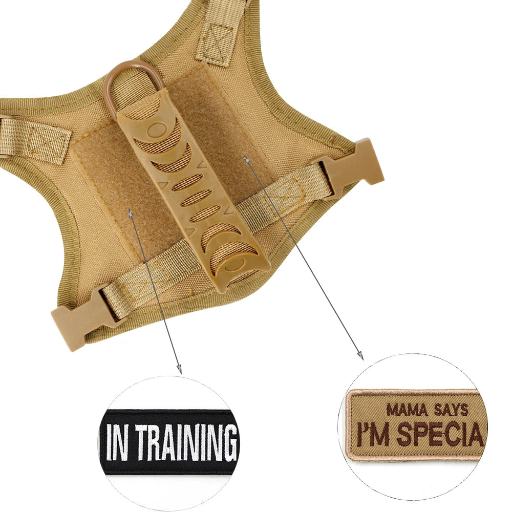 Tactical Cat Harness