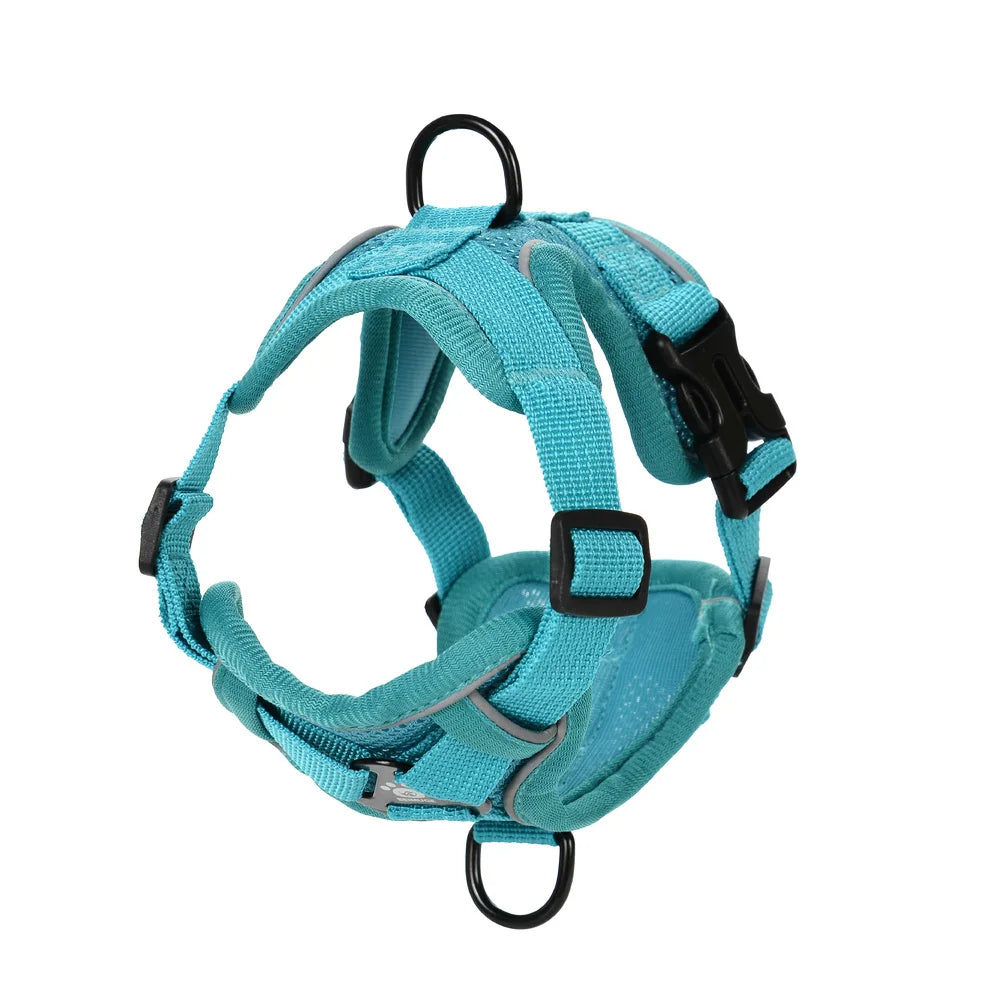 Dog Harness Leash Set 
