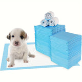 Pet Training Pads - Thickened Absorbent Dog Diapers 100/200 Pcs - Deribla Store
