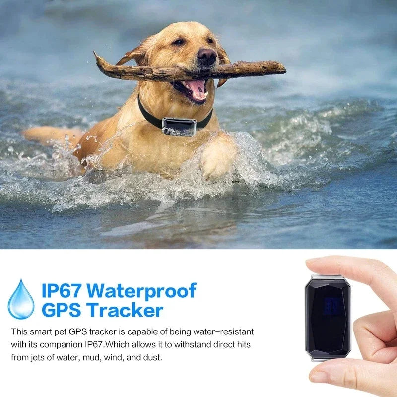 GPS Pet Tracker