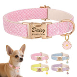 Custom Dog Collar
