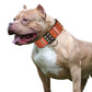 Spiked Studded Leather Dog Collar - Heavy Duty for Large Dogs - Deribla Store