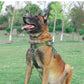 Tactical Dog Harness