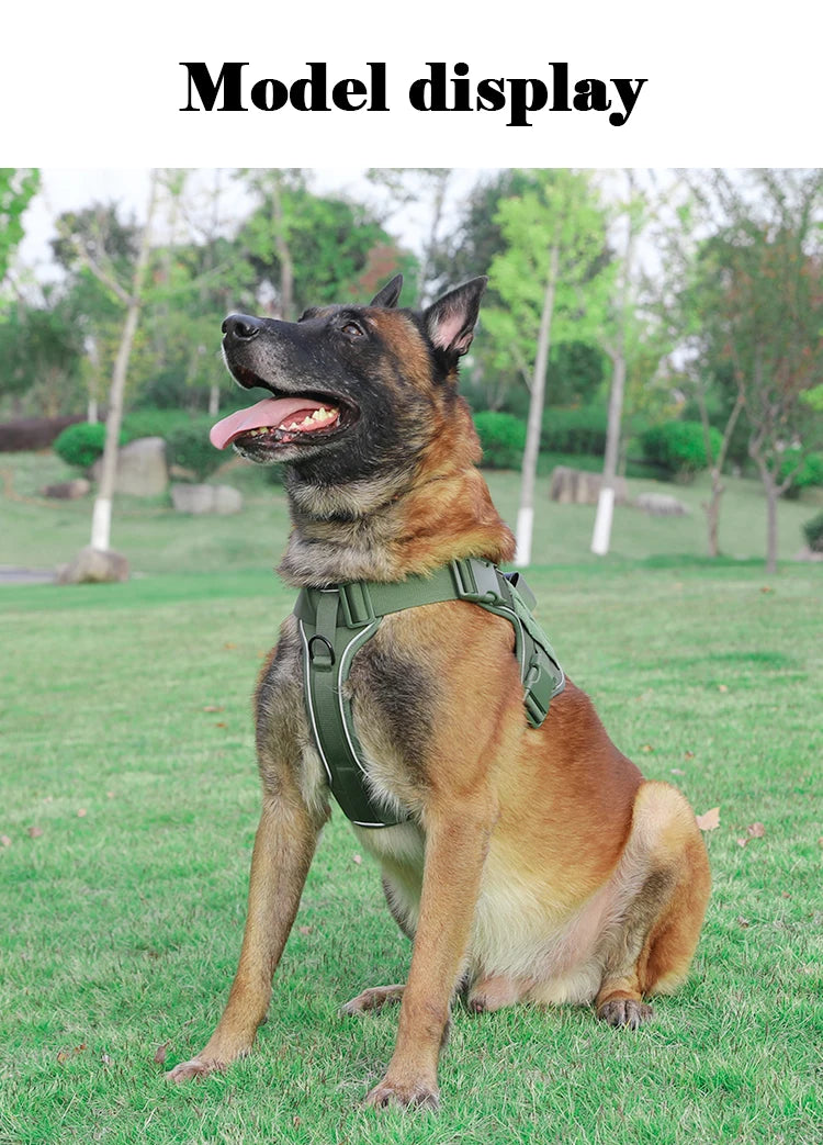 Tactical Dog Harness