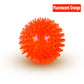 Pet Toy Ball - Sounding Tooth Cleaning Thorn Ball for Dogs & Cats - Deribla Store