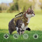 Tactical Cat Harness