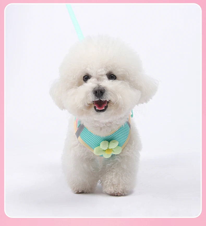 Mesh Dog Harness Leash Set
