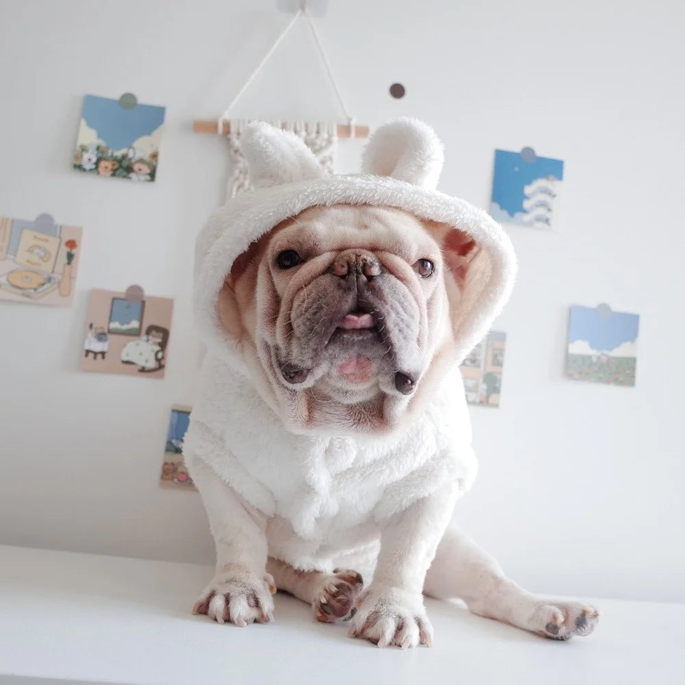 Winter Dog Hoodie - Warm Cotton Coat Jacket for Small to Medium Dogs - Deribla Store