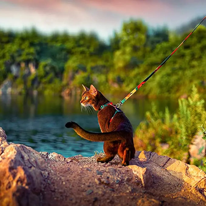 Premium Leather Cat Leash - 1.5M Walking & Training Lead for Cats & Small Dogs - Deribla Store