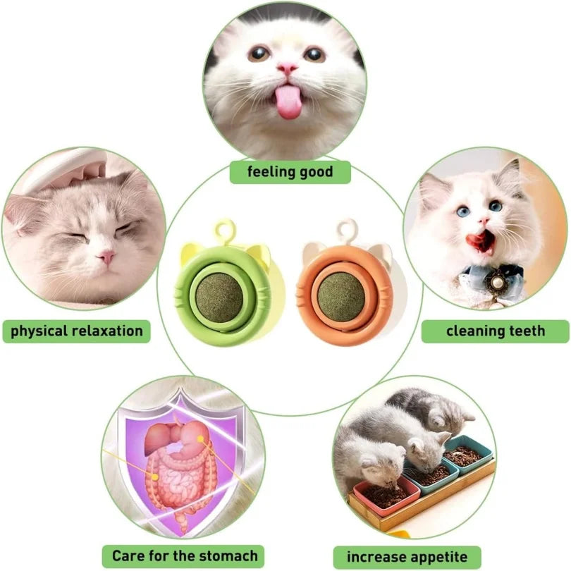 Natural Catnip Cat Wall Ball Toy - Edible Stick-On Treats for Teeth Cleaning & Digestion - Deribla Store