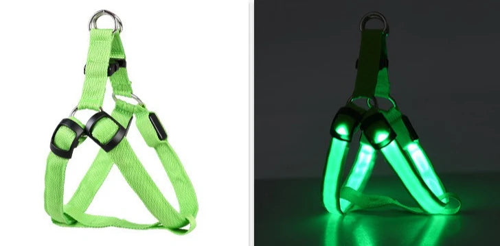 LED Dog Harness 