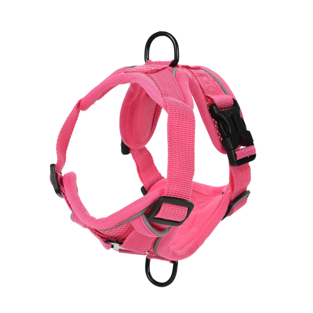 Dog Harness Leash Set 