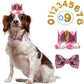 Dog Cat Birthday Crown Hat & Bow Tie Set - Reusable Party Headband with Numbers 0-9 - Deribla Store